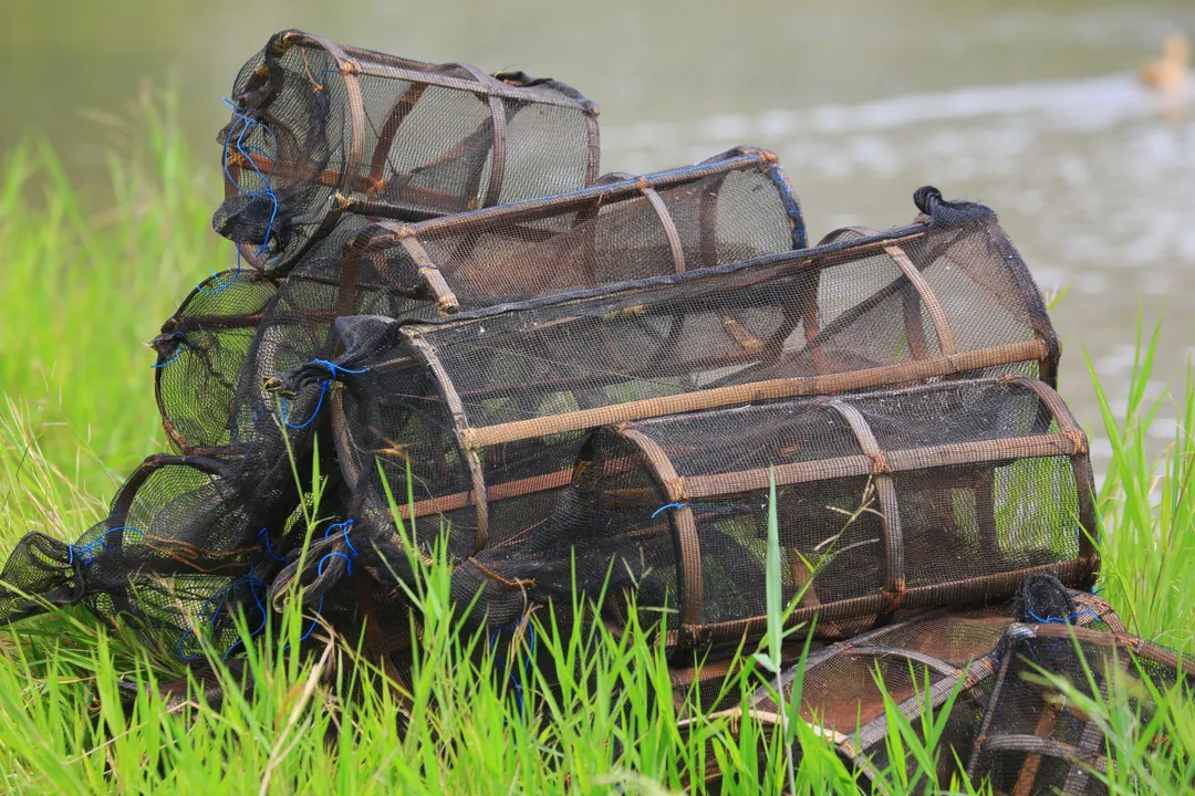 Bubu Perangkap Ikan