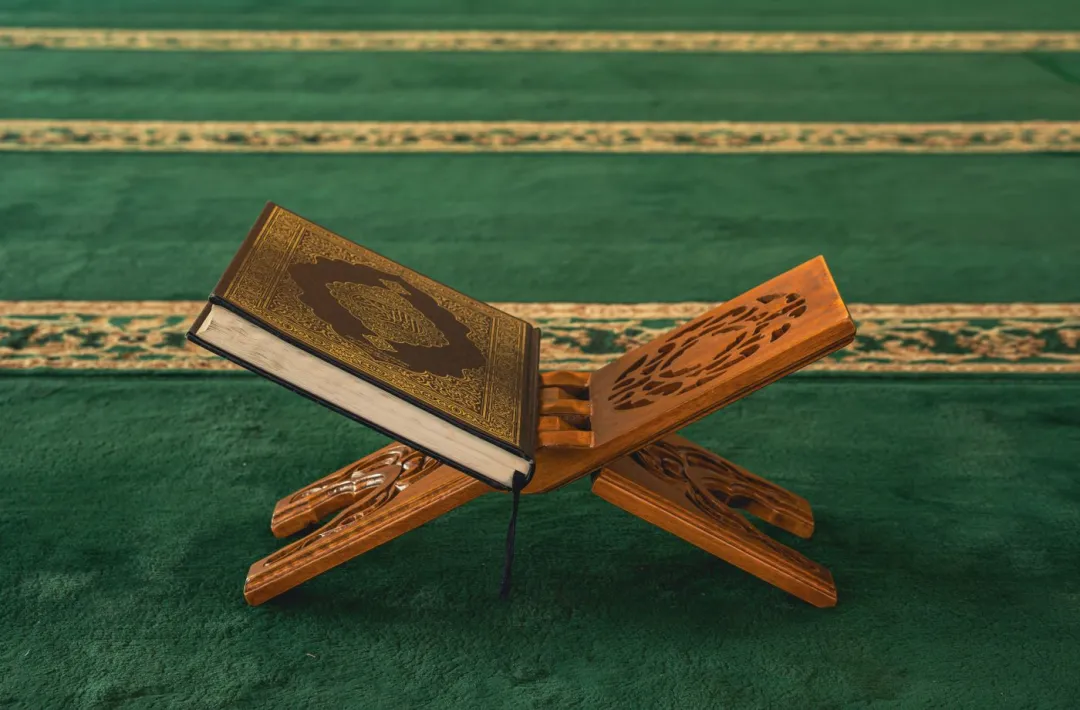 Rehal Kayu Lipat