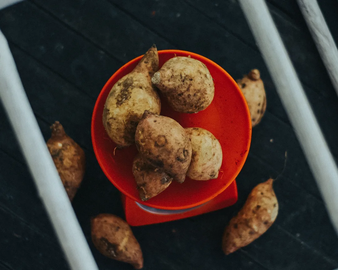 Ubi Cilembu Grade A 1 kg
