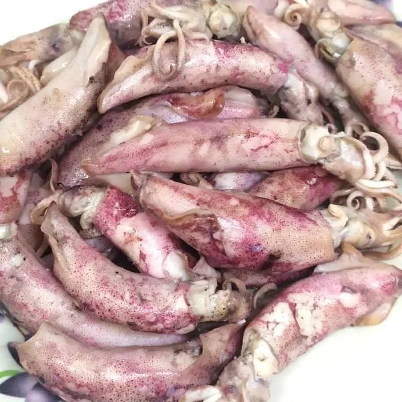 cumi asin