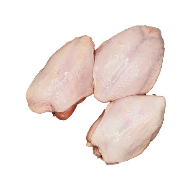 dada ayam