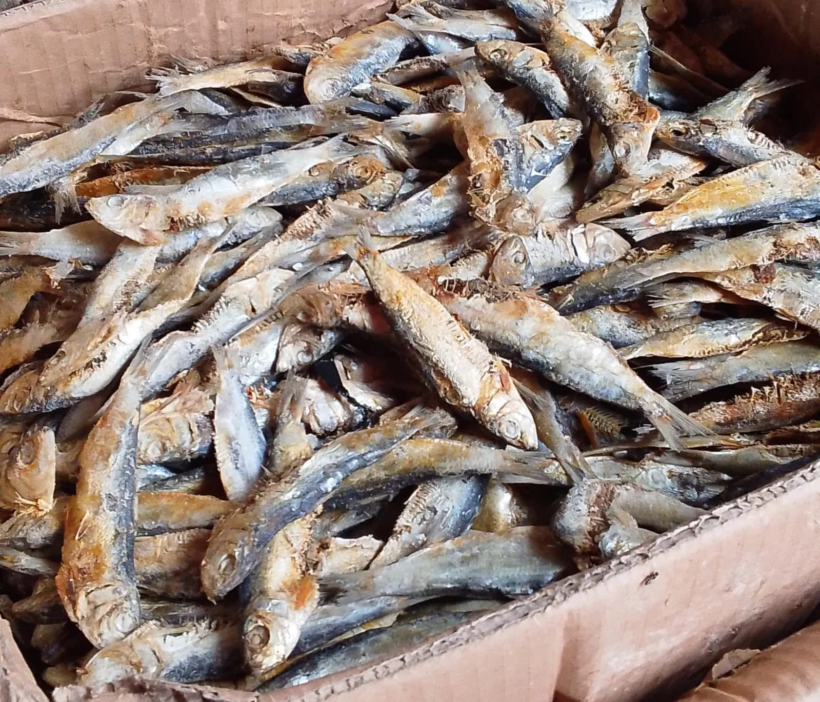 Ikan asin