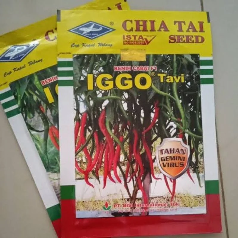 Benih cabe IGGO Tavi