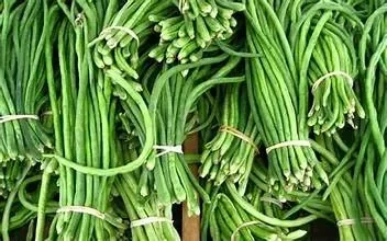 Kacang panjang
